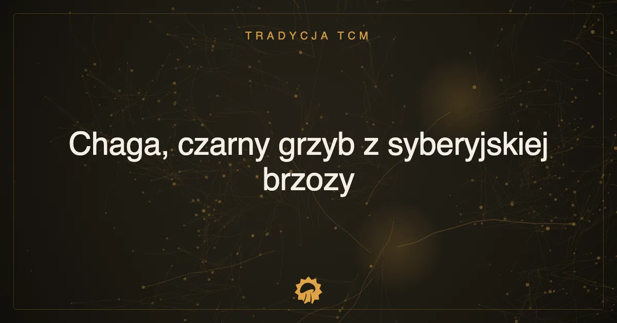 Ilustracja wpisu: Chaga, czarny grzyb z syberyjskiej brzozy