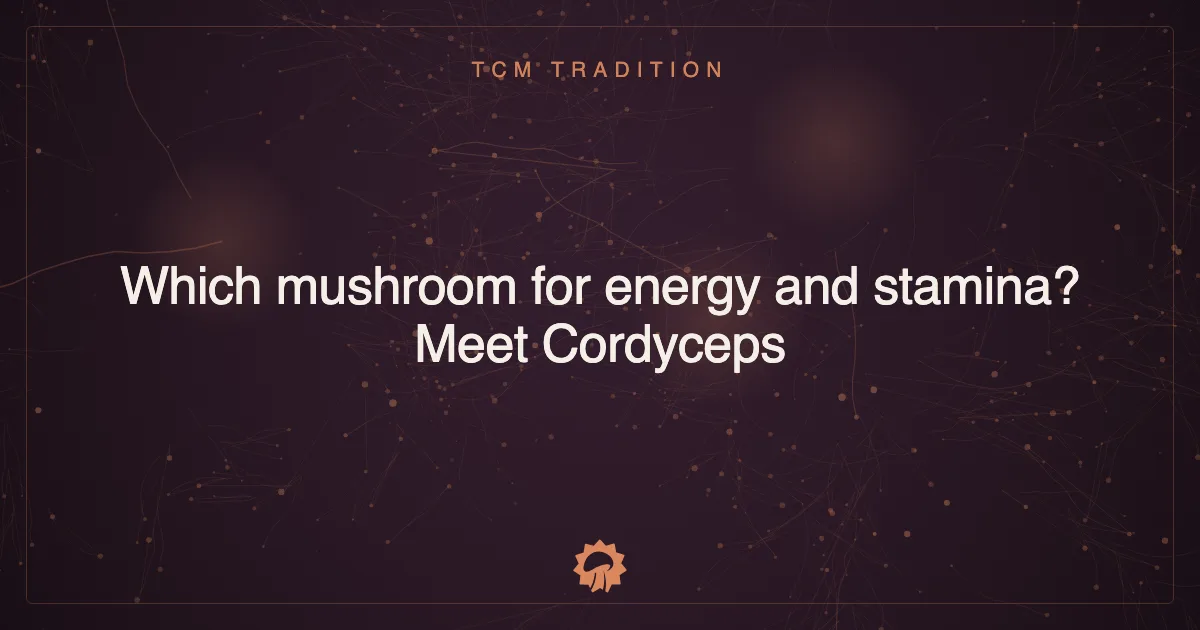 Post illustration: Which mushroom for energy and stamina? Meet Cordyceps