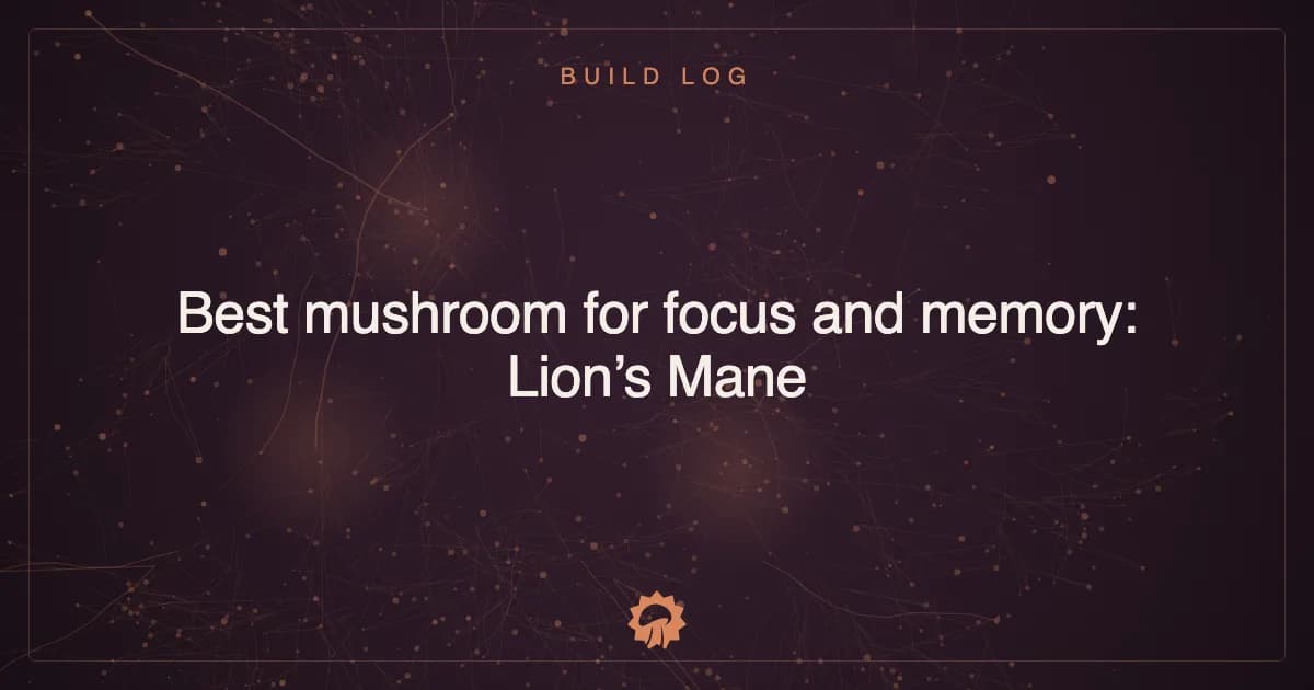 Post illustration: Best mushroom for focus and memory: Lion’s Mane