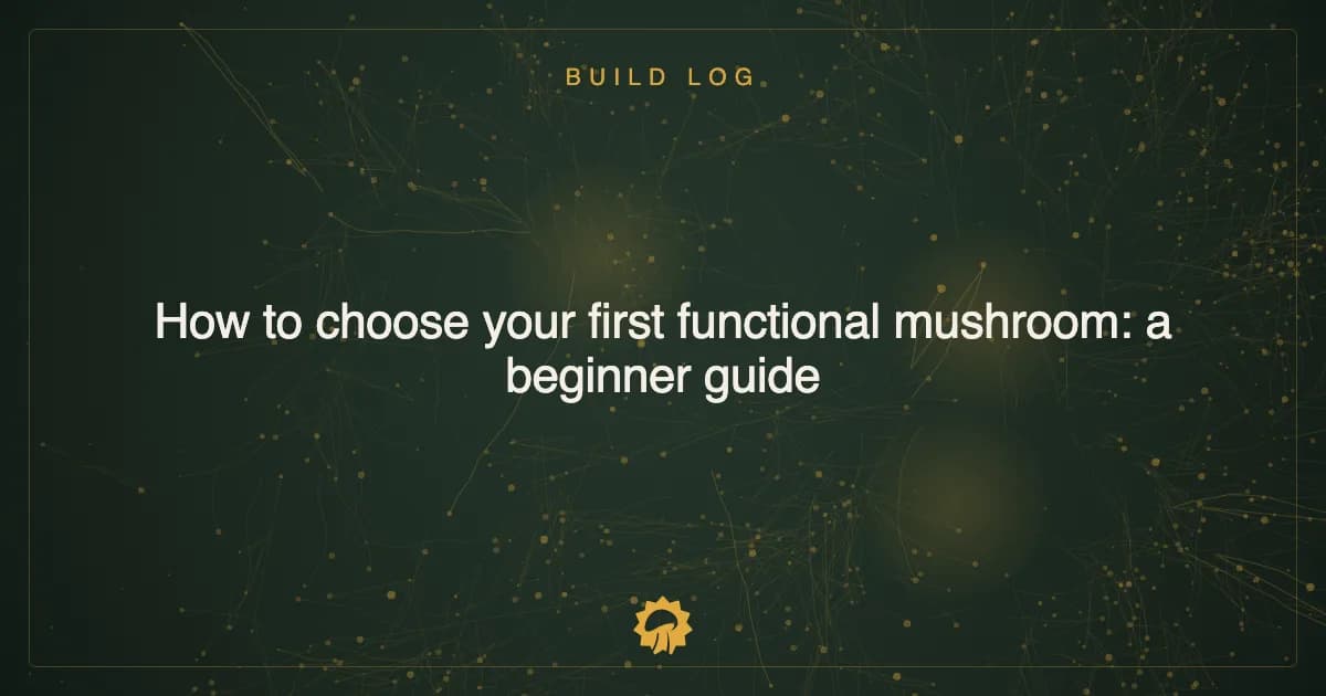 Post illustration: How to choose your first functional mushroom: a beginner guide
