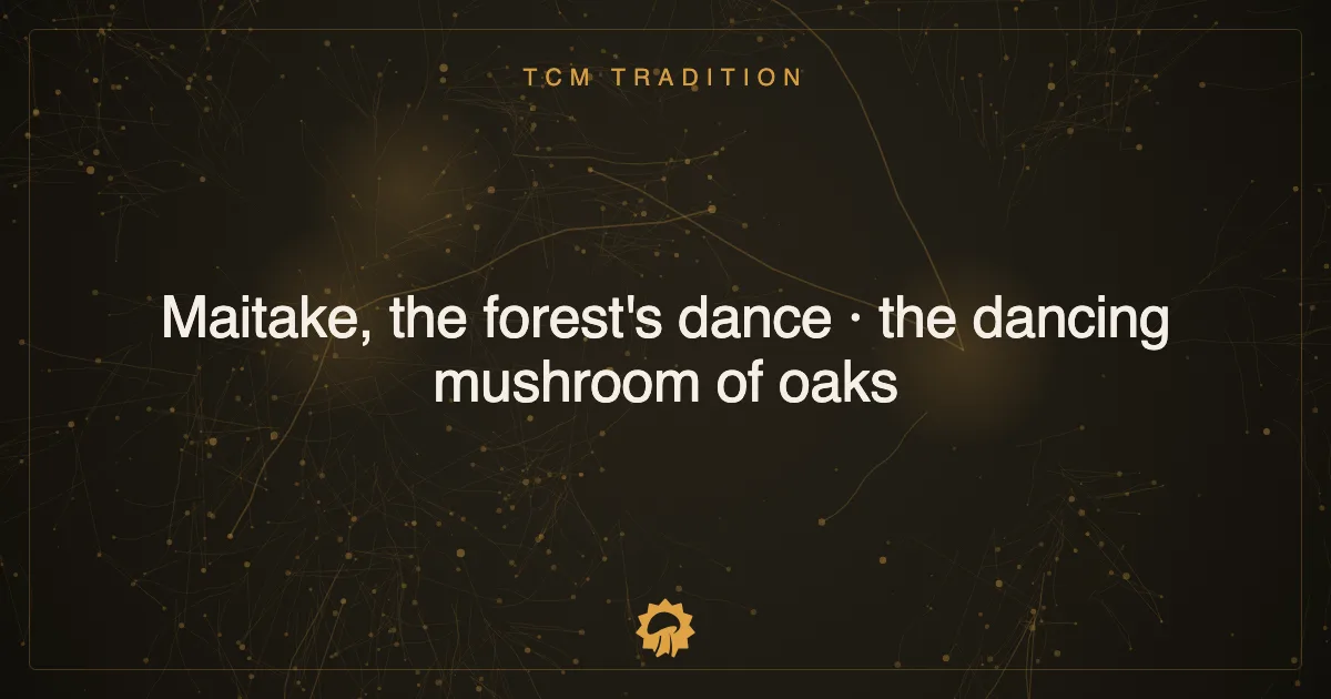 Post illustration: Maitake, the forest's dance · the dancing mushroom of oaks
