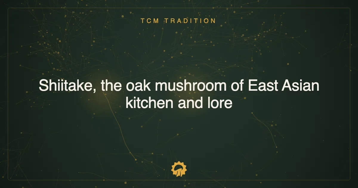 Post illustration: Shiitake, the oak mushroom of East Asian kitchen and lore