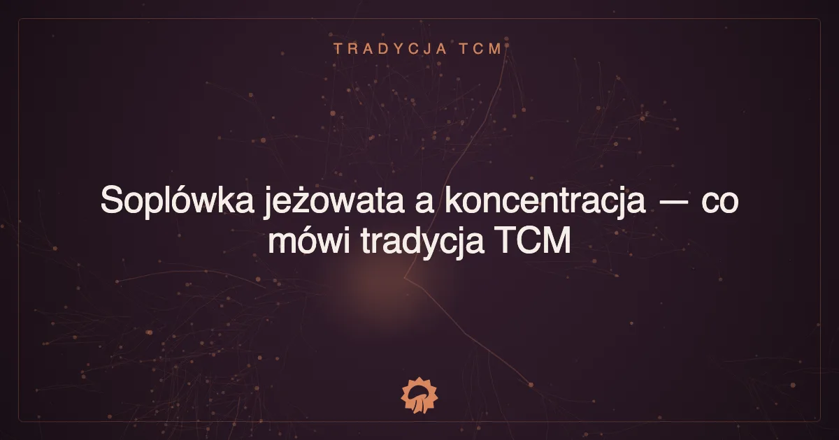 Soplówka jeżowata a koncentracja — co mówi tradycja TCM
