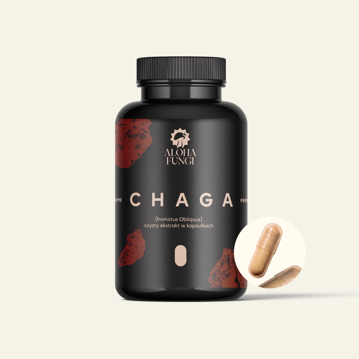 Chaga