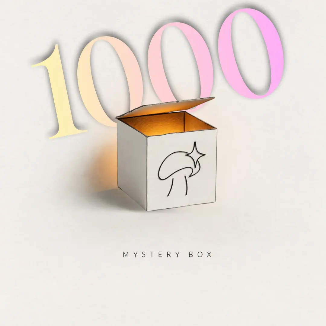 Mystery Box 1000, opakowanie produktu Aloha Fungi