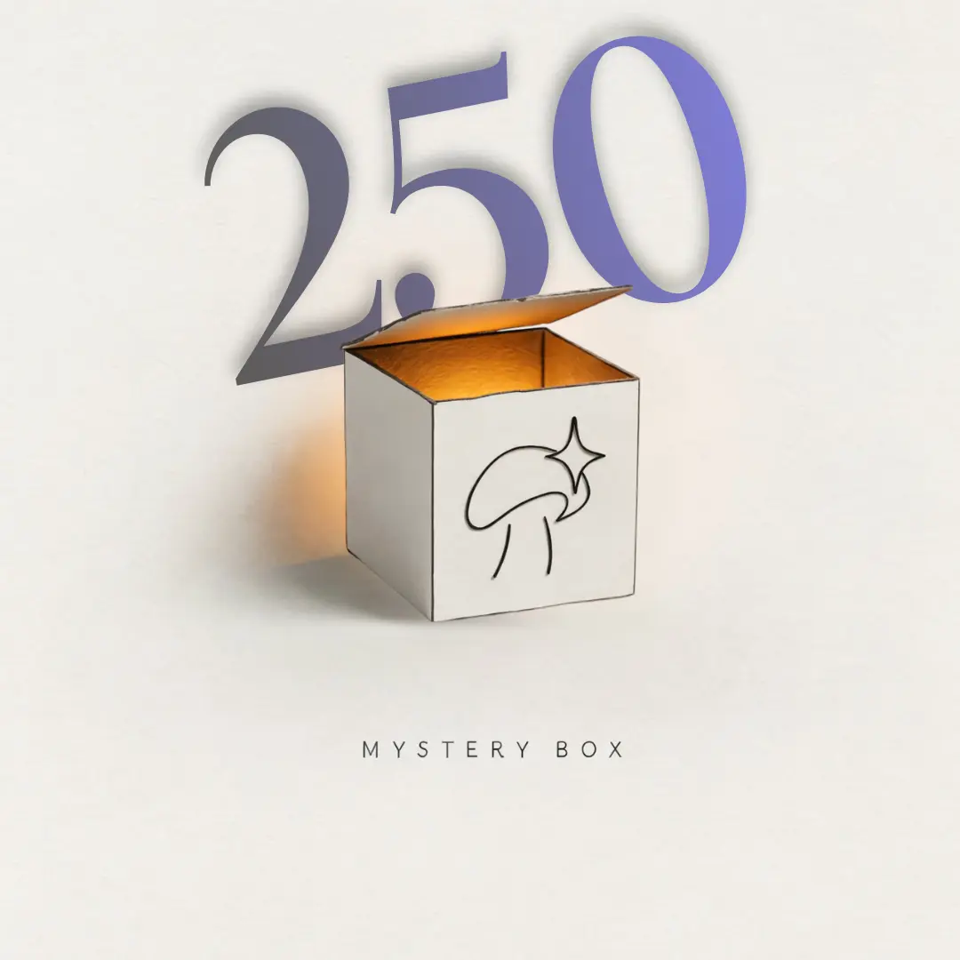 Mystery Box 250, opakowanie produktu Aloha Fungi