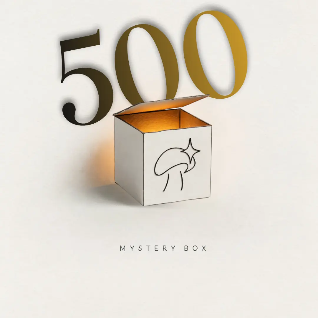 Mystery Box 500, opakowanie produktu Aloha Fungi
