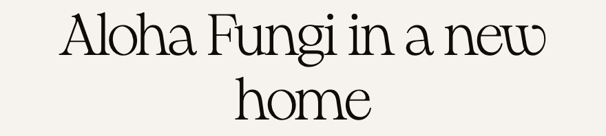 Aloha Fungi in a new home