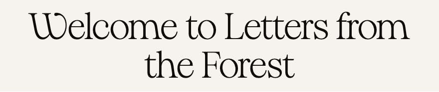 Welcome to Letters from the Forest