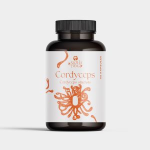 Cordyceps – 90 kapsułek