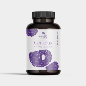 Coriolus – 90 kapsułek