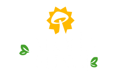AF_logo_kolor-bialy